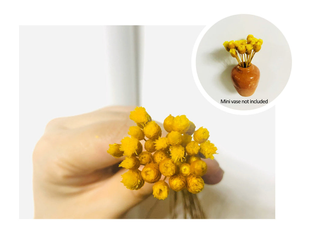 🎁HOT SALE- 49% OFF🔥 Mini Ceramics Vase Fridge Magnet