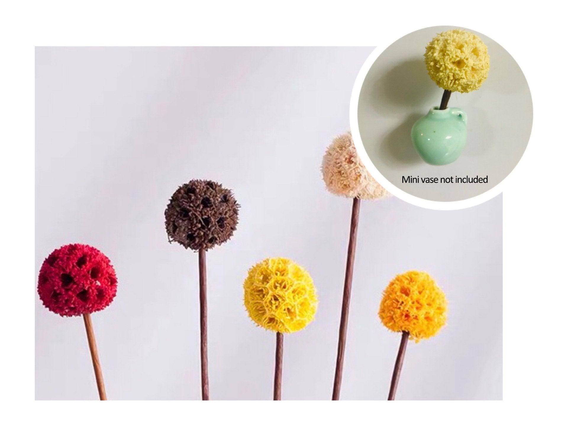 🎁HOT SALE- 49% OFF🔥 Mini Ceramics Vase Fridge Magnet