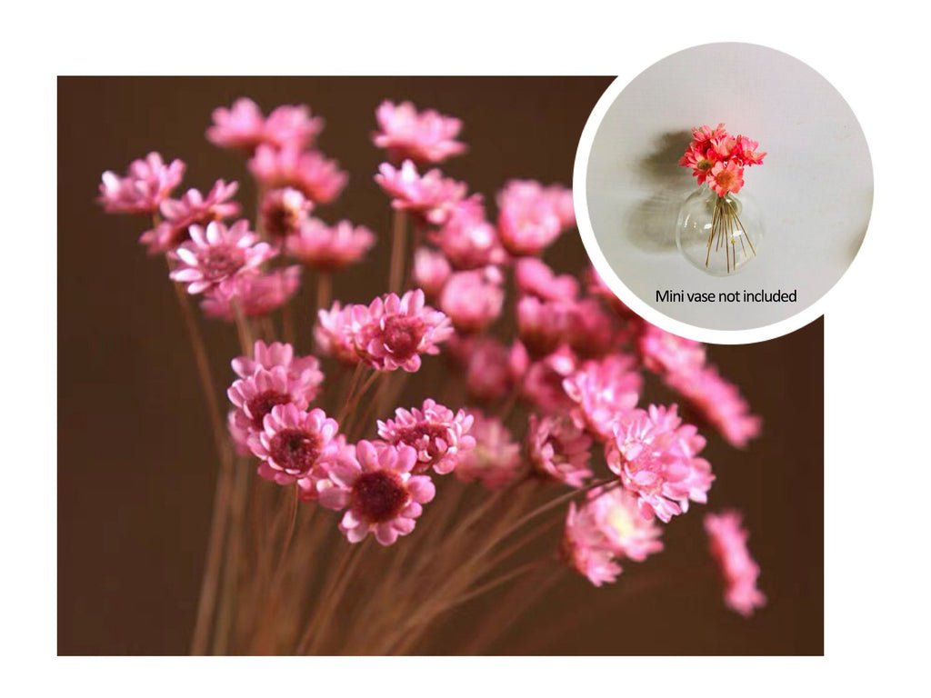 🎁HOT SALE- 49% OFF🔥 Mini Ceramics Vase Fridge Magnet