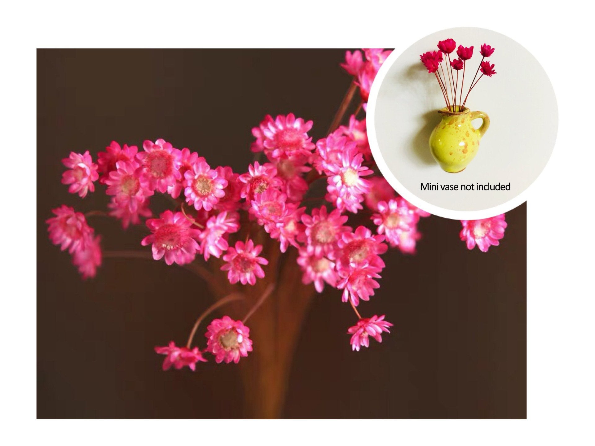 🎁HOT SALE- 49% OFF🔥 Mini Ceramics Vase Fridge Magnet